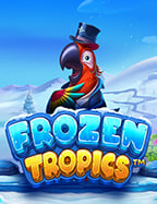 คาสิโนฟรี เครดิต ทดลองเล่นเพื่อเพิ่มโอกาสชนะ