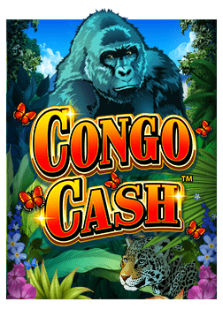 slot pg ทดลอง เล่น ฟรี: สนุกและตื่นเต้นได้ทุกวัน